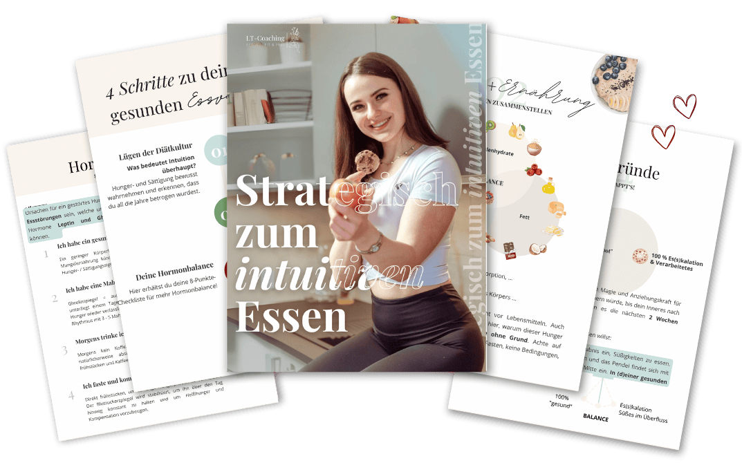 Kostenfreier Guide - Freebie Beitrag